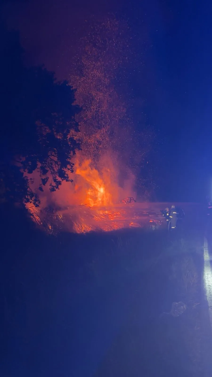 B2 - Brand im Freien Bild 6